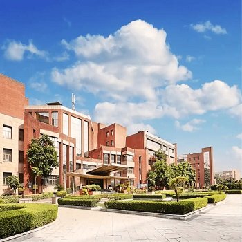 Amity Online University